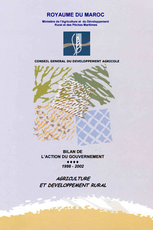 Bilan de l'action gouvernementale