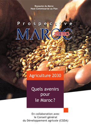 Préparation du plan de développement économique et social 1999-2003 : composante développement rural