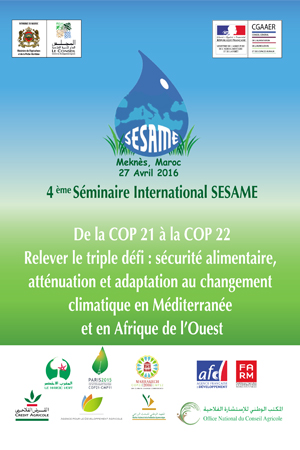 Préparation du plan de développement économique et social 1999-2003 : composante développement rural