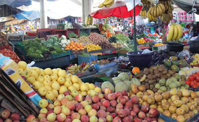 Impacts de la Libéralisation de l'Agriculture & compétitivité des filières Agro-alimentaires