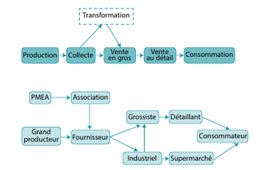 L’Analyse et la Régulation des filières Agroalimentaires