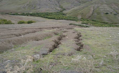 Les petites et moyennes exploitations Agricoles : quel avenir ?