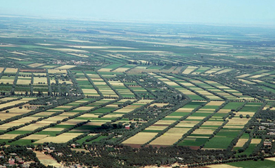 Les petites et moyennes exploitations Agricoles : quel avenir ?