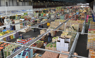 L’Agriculture Marocaine face à la libéralisation : quelles méthodes d’analyse et quel système d’information ?