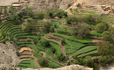 Les petites et moyennes exploitations Agricoles : quel avenir ?